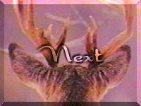 Next Wilderness Ring Site