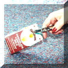 NancyMilk2.jpg (20692 bytes)