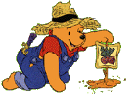 thumbnail of your picture #1