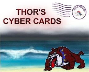 THOR'S Bookmarks of Cards - Mas de 450 direcciones para escoger tu tarjeta