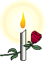 Candle Rose