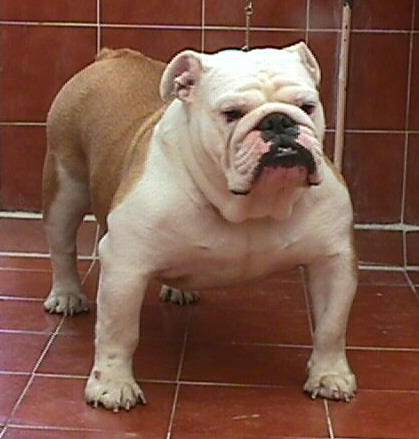 Brampton Mersey Glad Time