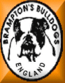 Brampton Bulldogs Spanish