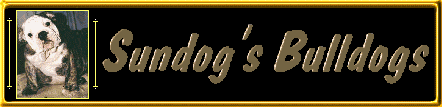 SUNDOG'S BULLDOGS