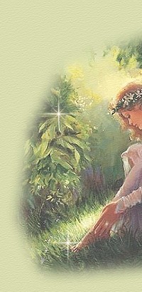 MBS-dreamstop1.jpg (29171 bytes)