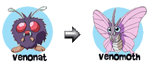 Venonat's Evolutions