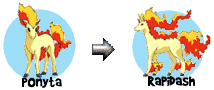 Rapidash's Evolutions