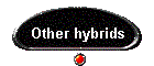 Other hybrids