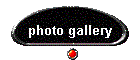 photo gallery