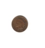 1906 Indianhead Cent