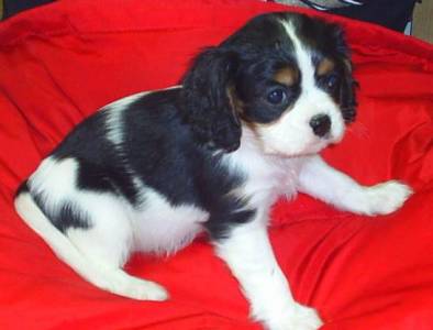 GIRL #2, STILL AVAILABLE FOR SALE