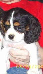 GIRL #2, STILL AVAILABLE