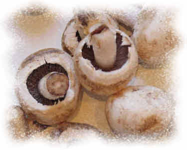 Mushrooms are extremely good for you (provided that you don't smother them in oil)