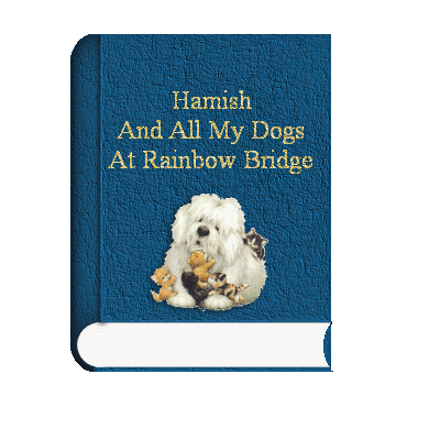 Hammy`s Book Bigger than stated here