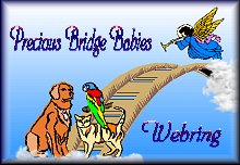 Precious
Bridge Babies Webring Logo