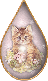 Great Blinkies,Web Sets and calling cards here