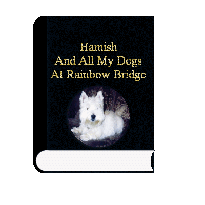 Hammy`s Book Bigger than stated here