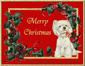 Xmas Gift From Zantana And Boyzantana