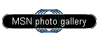 MSN photo gallery