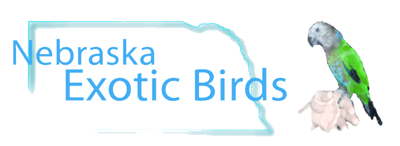 Nebraska Exotic Birds Logo