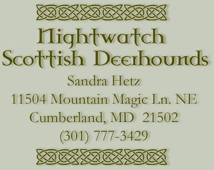 Nightwatch Scottish Deerhounds, Sandra Hetz, 11504 Mountain Magic Ln. NE, Cumberland, MD  21502, (301) 777-3429