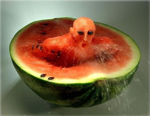 Watermelon swimmer