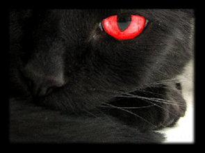 black cat with red eye