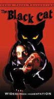 movie poster The Black Cat