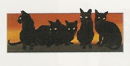 black cat family