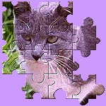 cat jigsaw puzzle