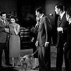 cat with cast of movie