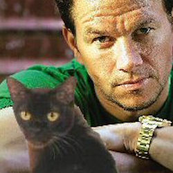 cat and Mark Wahlberg