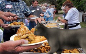 cat eating at feast