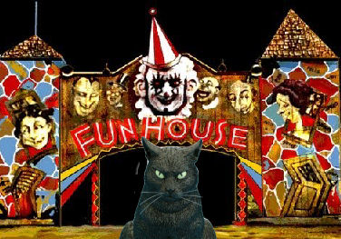 cat by funhouse