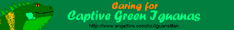 Caring for cAptive Green Iguanas