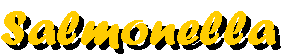 Salmonella