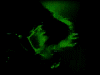 images/headbang.gif (7925 bytes)
