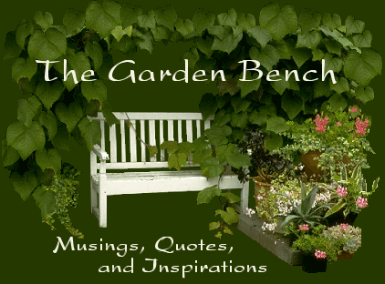 The Garden Bench ~ Musings, Quotes, and Inspirations