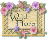 Wild Flora of East Tennessee