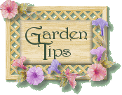 Garden Tips