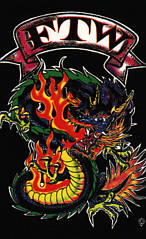 In Association with allwall.com