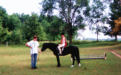 Liseter Shining Star