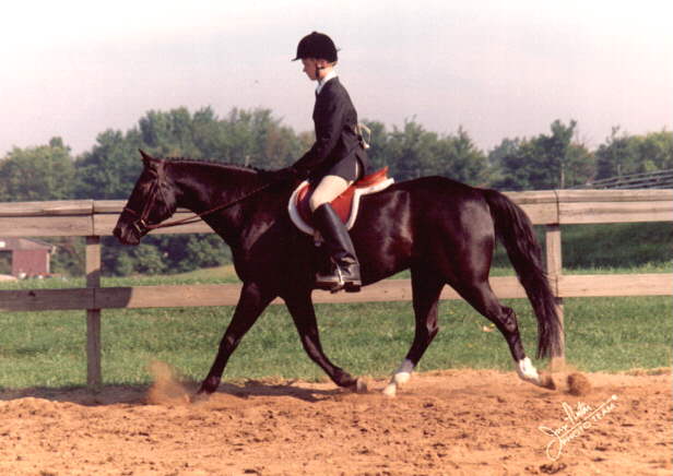 Rountuit's Double Dare