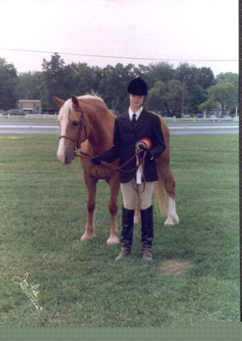 Sarah wins Grand CH Welsh Cob mare and Reserve CH Welsh Cob  under Judge Holmes @ Michigan Double Dare Gold Show