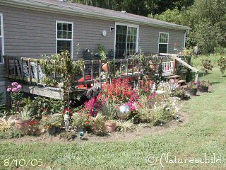 Back Deck Garden