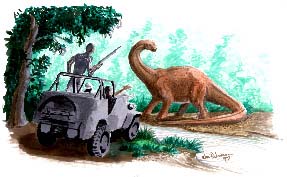 Drums Along the Congo: On the Trail of Mokele-Mbembe, the Last Living  Dinosaur by Rory Nugent