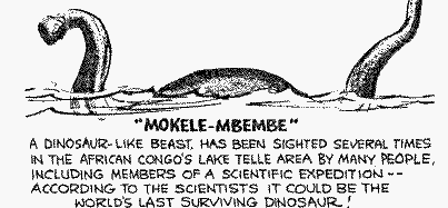 Mokele mbembe in Congo