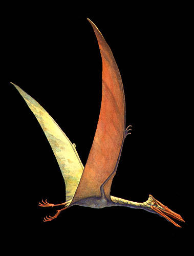 The Glorious Twilight of Pterosaurs