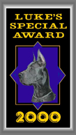 Luke's Award