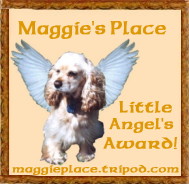 Maggie's Award